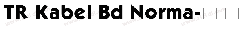 TR Kabel Bd Norma字体转换